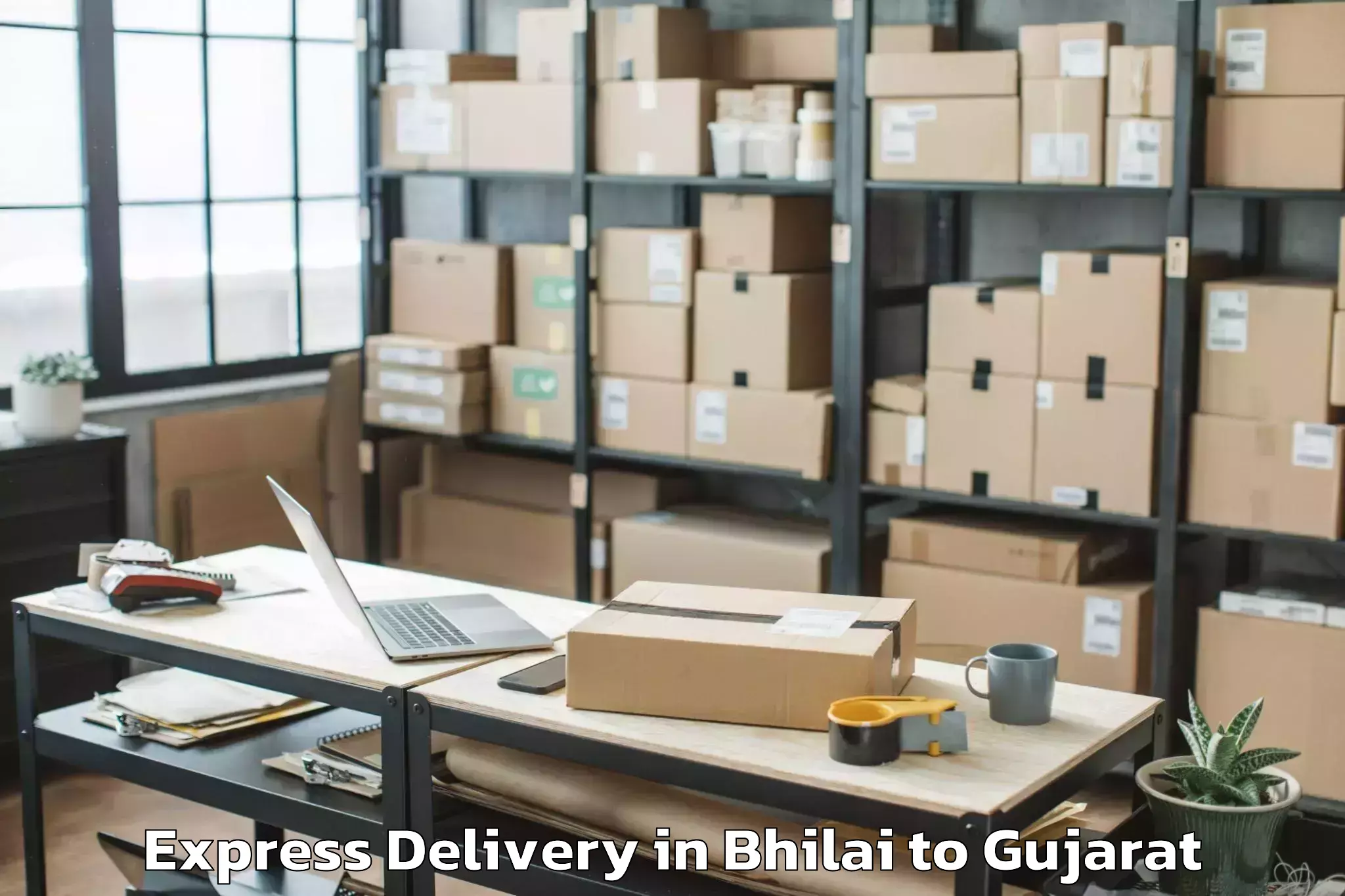 Book Bhilai to Delvada Express Delivery